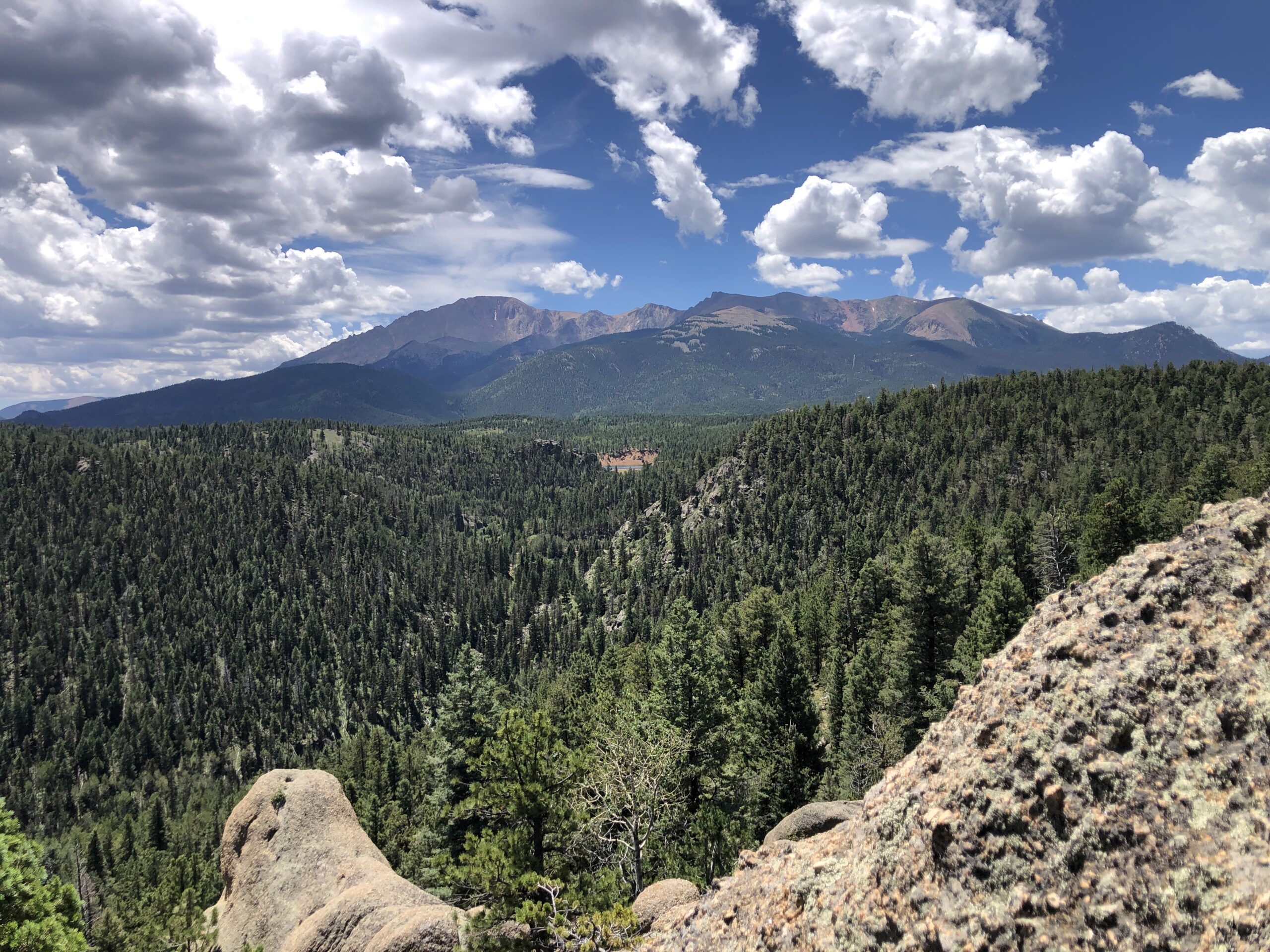 This image has an empty alt attribute; its file name is Dewey-scaled.jpg