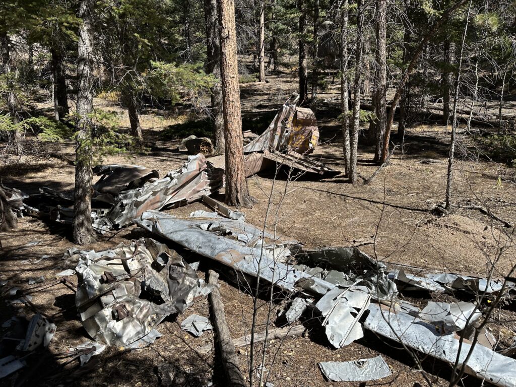 Sydney Harrison plane crash